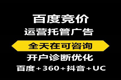 SEM网络推广案例：打造行业影响力品牌